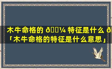 木牛命格的 🌼 特征是什么 🌺 「木牛命格的特征是什么意思」